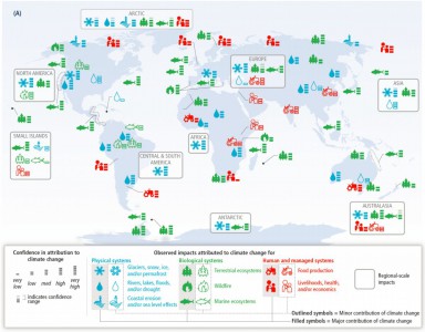 Climate Change Impacts (Image: Business Insider)