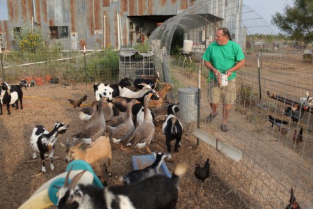 Floresville, Texas: Paul Range feeds his brood of livestock. Each can serve as a food source if things get bad. (Photo Credit: National Geographic Channel/ Sharp Entertainment)