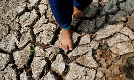 Drought-hit land in Thailand (Image: EPA/R. Yongrit)